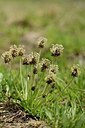 BUITEN BEELD Foto: 177707