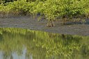 BUITEN BEELD Foto: 177770