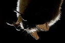 BUITEN BEELD Foto: 177772