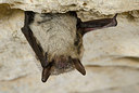 BUITEN BEELD Foto: 177775