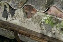 BUITEN BEELD Foto: 177852