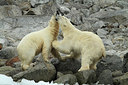 BUITEN BEELD Foto: 177912