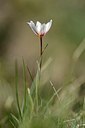 BUITEN BEELD Foto: 177942