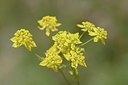 BUITEN BEELD Foto: 178036