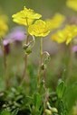BUITEN BEELD Foto: 178047