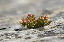 BUITEN BEELD Foto: 178048