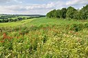 BUITEN BEELD Foto: 178063