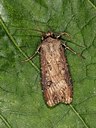 BUITEN BEELD Foto: 178160