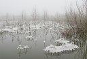 BUITEN BEELD Foto: 178169