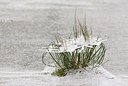 BUITEN BEELD Foto: 178170
