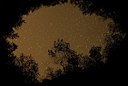 BUITEN BEELD Foto: 178198