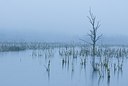 BUITEN BEELD Foto: 178206