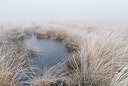 BUITEN BEELD Foto: 178207