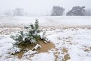 BUITEN BEELD Foto: 178229