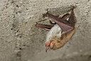 BUITEN BEELD Foto: 178253