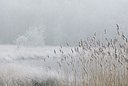 BUITEN BEELD Foto: 178259