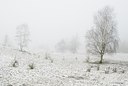 BUITEN BEELD Foto: 178287