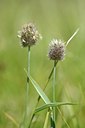 BUITEN BEELD Foto: 178302