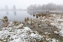 BUITEN BEELD Foto: 178321
