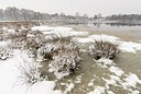 BUITEN BEELD Foto: 178323
