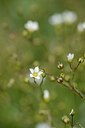 BUITEN BEELD Foto: 178344
