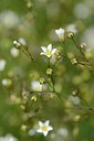 BUITEN BEELD Foto: 178345