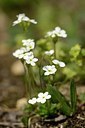 BUITEN BEELD Foto: 178360