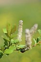 BUITEN BEELD Foto: 178365