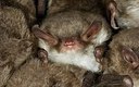 BUITEN BEELD Foto: 178374