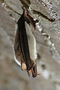 BUITEN BEELD Foto: 178382