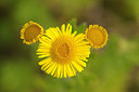 BUITEN BEELD Foto: 178424