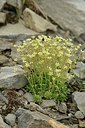 BUITEN BEELD Foto: 178460
