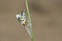 BUITEN BEELD Foto: 178517