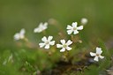 BUITEN BEELD Foto: 178556