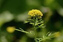 BUITEN BEELD Foto: 178593