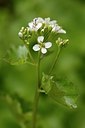 BUITEN BEELD Foto: 178597