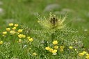 BUITEN BEELD Foto: 178604