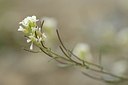 BUITEN BEELD Foto: 178654