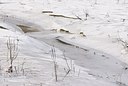BUITEN BEELD Foto: 178696