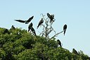 BUITEN BEELD Foto: 178745