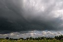 BUITEN BEELD Foto: 178761