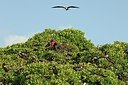 BUITEN BEELD Foto: 178773