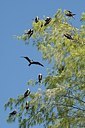 BUITEN BEELD Foto: 178791