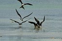 BUITEN BEELD Foto: 178794