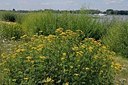 BUITEN BEELD Foto: 178908
