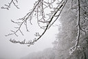 BUITEN BEELD Foto: 178983
