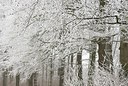 BUITEN BEELD Foto: 178996