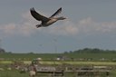 BUITEN BEELD Foto: 17006