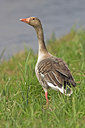 BUITEN BEELD Foto: 17029