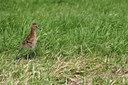 BUITEN BEELD Foto: 17036